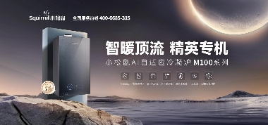 燃气壁挂炉